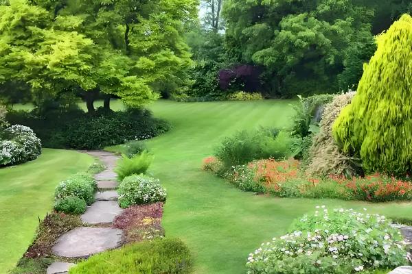 怎么预防园林植物出现药害，使用药害较小的药物是有效措施