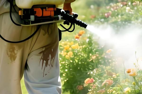 怎么预防园林植物出现药害，使用药害较小的药物是有效措施
