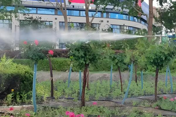 怎么预防园林植物出现药害，使用药害较小的药物是有效措施