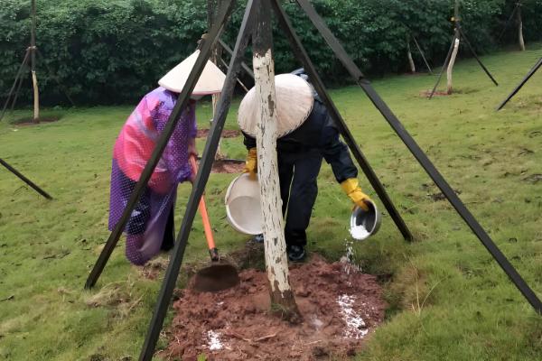 怎么预防园林植物出现药害，使用药害较小的药物是有效措施