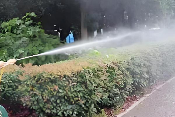 怎么预防园林植物出现药害，使用药害较小的药物是有效措施