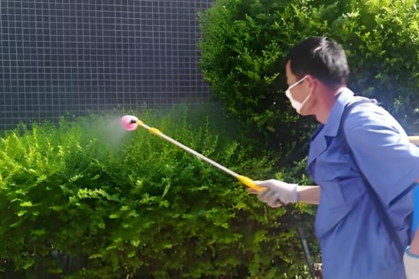 怎么预防园林植物出现药害，使用药害较小的药物是有效措施