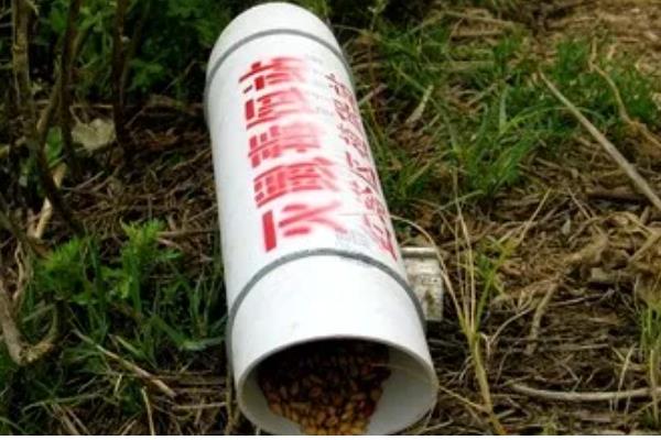 土豆地下害虫如何防治，要禁止使用未腐熟的畜粪