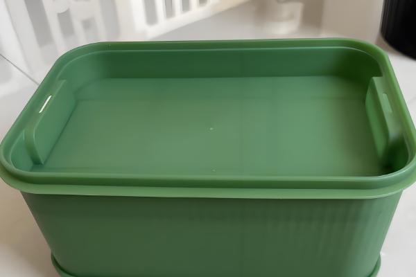 芽苗菜的种植方法,每天喷水2次