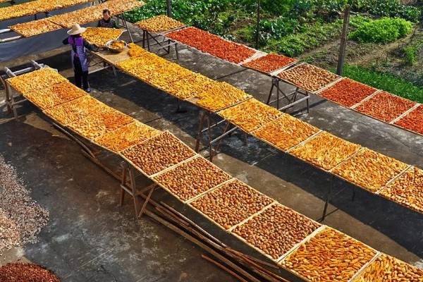 山药后期怎么管理，茎叶爬满时亩施尿素15-20公斤