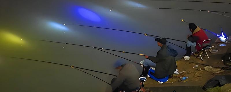 夜钓用蚯蚓没口的原因，没有打窝、天气差都是常见因素