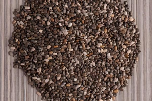 秋季韭菜怎么育苗,大田播种可以采用撒播或者田间