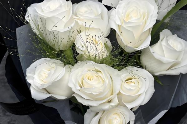 哪些花卉具有纯洁的花语，常见白百合、白玫瑰等品种