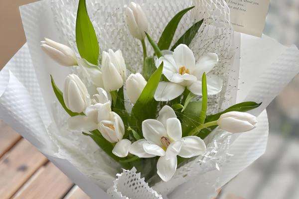 哪些花卉具有纯洁的花语，常见白百合、白玫瑰等品种