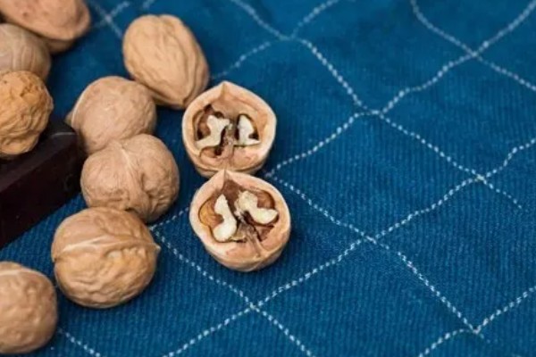 怎么种桃核，一般选在春季种植