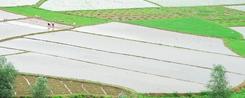 耕地有哪种土地类型，分为水田、旱地等类型