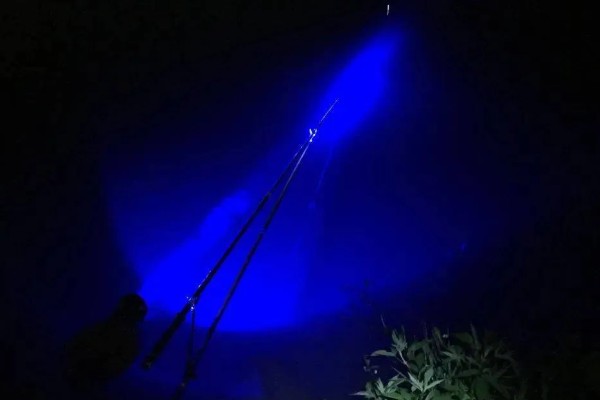 夜钓用蚯蚓没口的原因，没有打窝、天气差都是常见因素