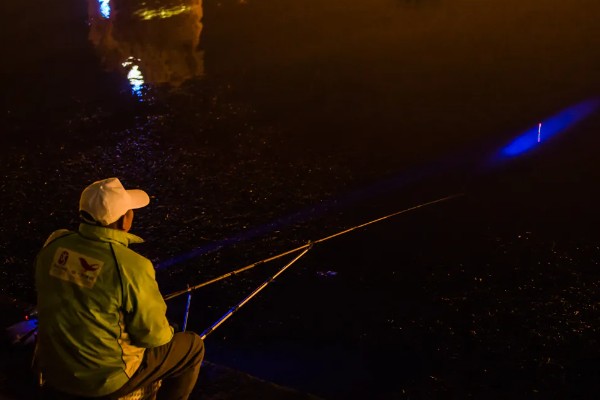 夜钓用蚯蚓没口的原因，没有打窝、天气差都是常见因素