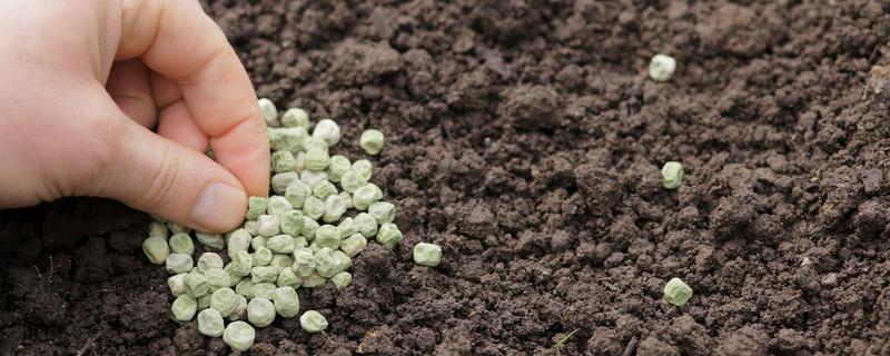 有机肥料和化学肥料如何混施，以有机肥作基肥化学肥料作追肥