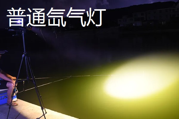 夜钓用蚯蚓没口的原因，没有打窝、天气差都是常见因素