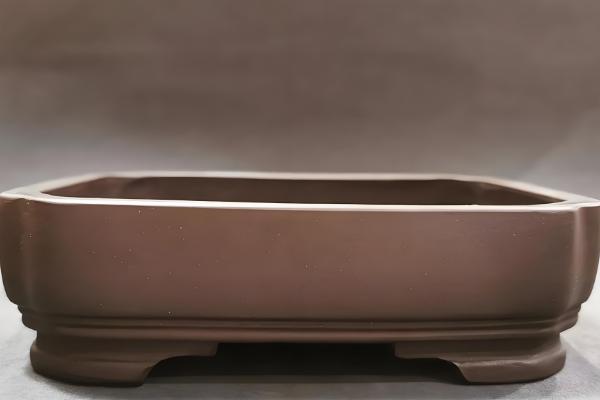 如何养殖香兰，生长盛期需浇足水