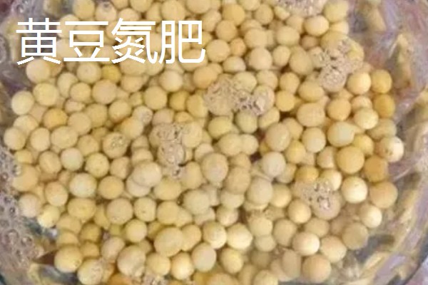 有哪些自制氮肥，原料有瓜果皮、废菜叶等