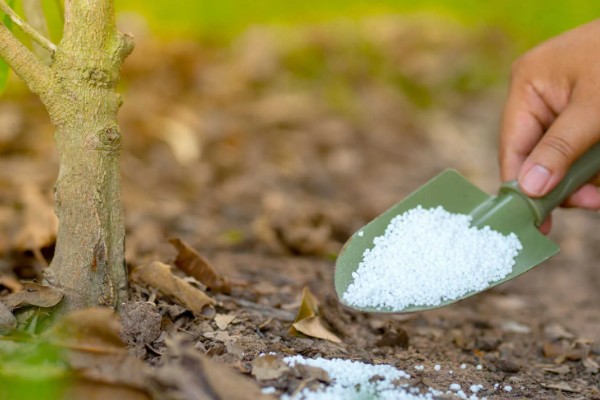 有哪些自制氮肥，原料有瓜果皮、废菜叶等