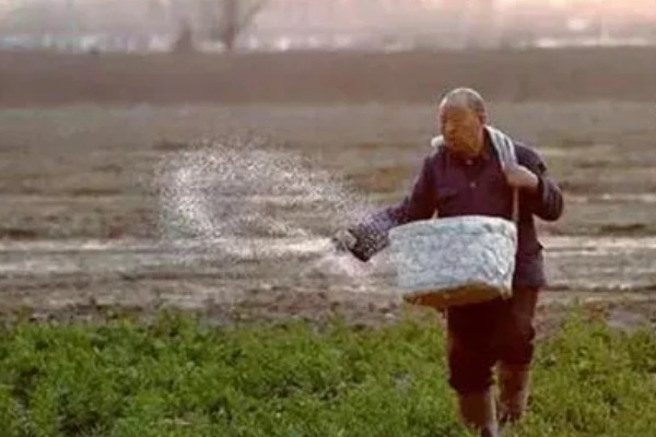 有哪些自制氮肥，原料有瓜果皮、废菜叶等