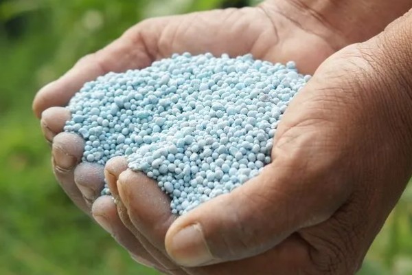 有哪些自制氮肥，原料有瓜果皮、废菜叶等