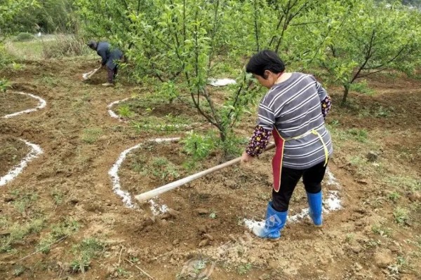 有哪些自制氮肥，原料有瓜果皮、废菜叶等
