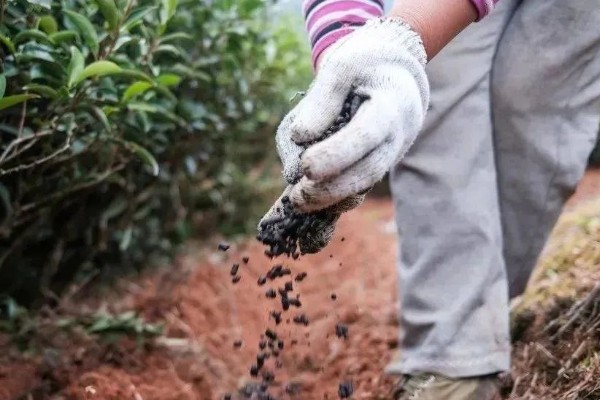 有哪些自制氮肥，原料有瓜果皮、废菜叶等