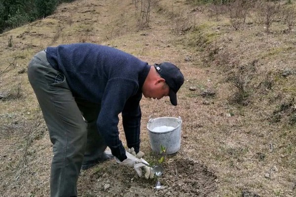 有哪些自制氮肥，原料有瓜果皮、废菜叶等