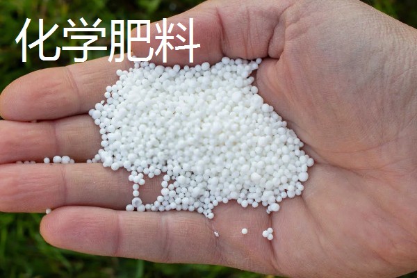 有机肥料和化学肥料如何混施，以有机肥作基肥化学肥料作追肥