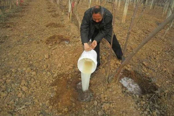 恶霉灵与多菌灵有什么区别，多菌灵的适用性更广