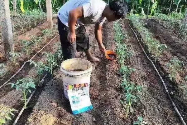 恶霉灵与多菌灵有什么区别，多菌灵的适用性更广