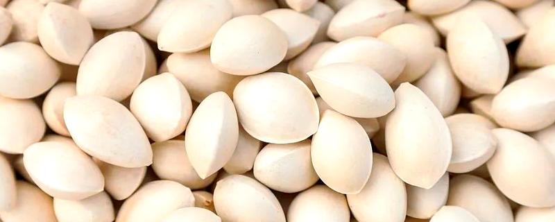 白果是哪种树的果实，白果为银杏的果实