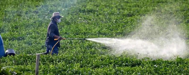 农药使用过程中的问题，主要有以下5方面