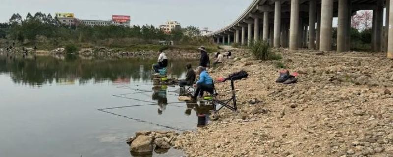 钓鱼走水严重怎么避免走漂，要使用更大的铅坠