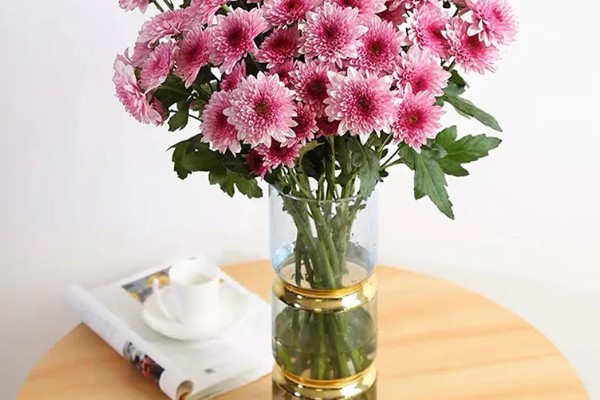 小雏菊买回来就蔫了如何解决,浇水时需让水分沿着花盆壁流下