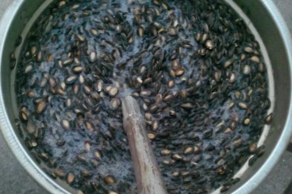 打瓜能在家里种吗，可以在家里种植