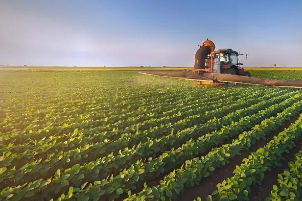 耕地有哪种土地类型,分为水田、旱地等类型