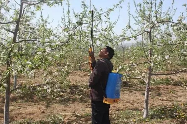 尿素肥有哪些作用，可以调节花量