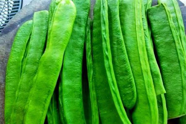 刀豆在几月份成熟，在3月份、7月份、9月份达到成熟期