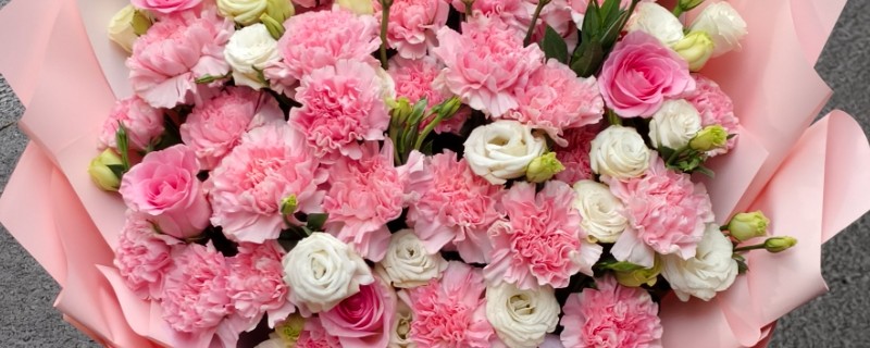 母亲节适合赠送什么花卉，康乃馨、长寿花等品种都是不错的选择