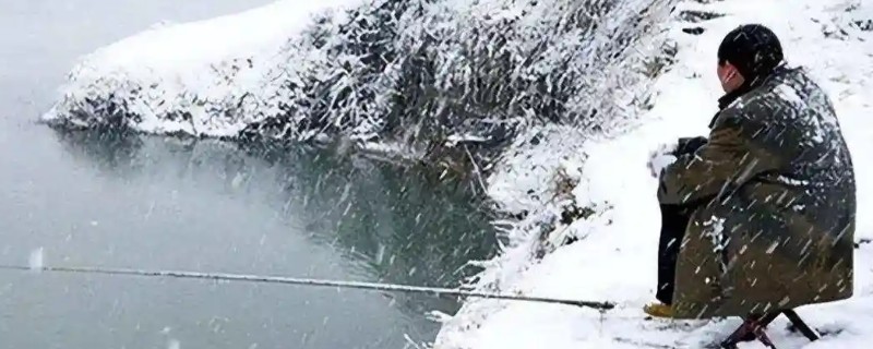 初冬钓鱼用什么饵料，推荐香腥、浓腥味等饵料