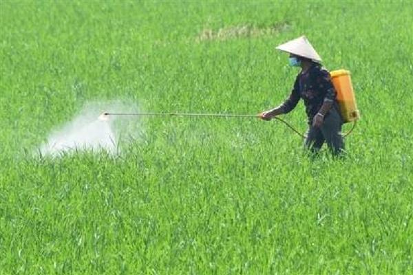 农药使用过程中的问题,主要有以下5方面