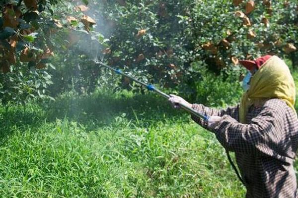 农药使用过程中的问题,主要有以下5方面