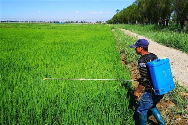 农药使用过程中的问题,主要有以下5方面