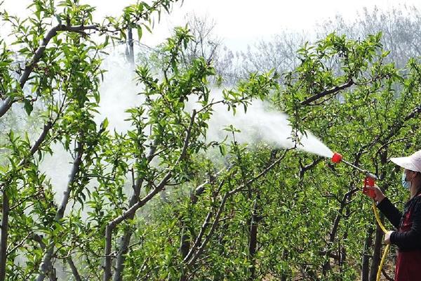 农药使用过程中的问题,主要有以下5方面