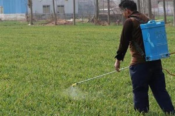 农药使用过程中的问题,主要有以下5方面