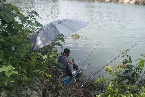 钓鱼走水严重怎么避免走漂,要使用更大的铅坠