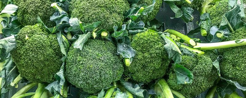 怎么挑选优质西兰花，可以看颜色、掂重量等