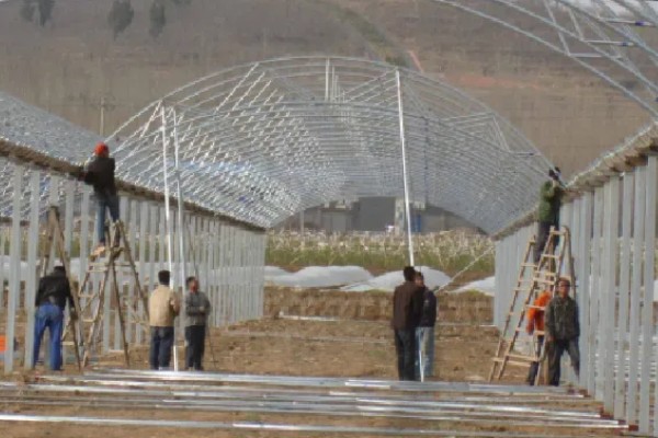 大棚茄子的种植方法,选择地势相对平坦的的种植地