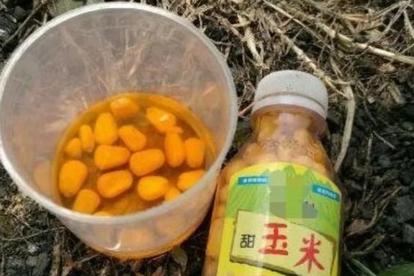 钓草鱼的适宜水深,可以在1-4米的水层中作钓
