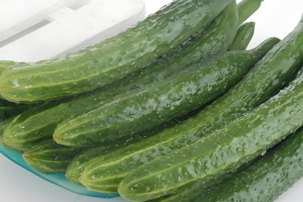 好吃又高产的黄瓜品种,丰元6号青瓜、青二号等品种满足条件